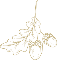 Eiche